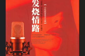 享受触动灵魂的炎热恋曲 群星《发烧情路 2CD》 [WAV分轨/DTS/城通]