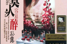 不可抗拒的磁性女声 孙露《寂寞的人容易醉》2CD[WAV分轨/DTS/城通]