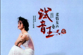 试音王 柔情女声 2CD[WAV/分轨/DTS/城通]