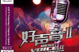 DTS-好声音II[WAV分轨/DTS/城通]