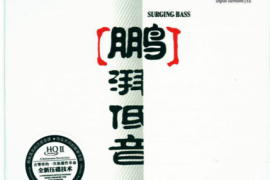 赵鹏《鹏湃低音》