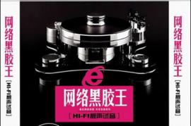 DTS-HIFI靓声试音-网络黑胶王2CD[WAV分轨/DTS/城通]