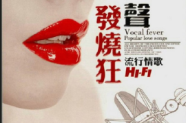 群星《人声发烧狂 HIFI流行情歌》[WAV分轨/DTS/城通]