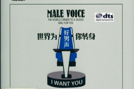 世界为你转身-好男声2CD [WAV分轨/DTS/城通]