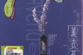 群星《情迷熏衣草》2CD