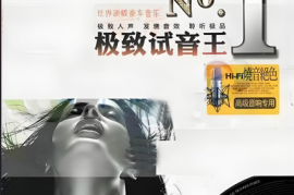 DTS-《极致试音王NO.1》2CD[WAV分轨/DTS/城通]
