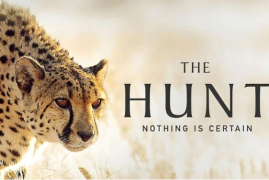 《猎捕 The Hunt》[自然纪录片][第一季全7集]