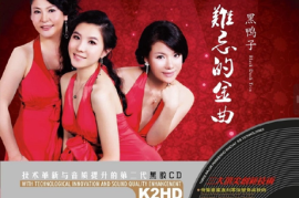 黑鸭子《难忘的金曲K2HD》2CD[WAV分轨/城通]