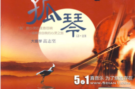 DTS第一元素10CD-9柔和而深情 高志坚《孤琴-大提琴》[WAV分轨/DTS/城通]