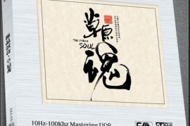 DTS-《草原魂》[WAV+CUE/DTS/城通]