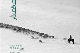 DTS-安达组合 故乡[WAV分轨/DTS/城通]