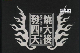 DTS-发烧四大天后 2CD[WAV分轨/DTS/城通]