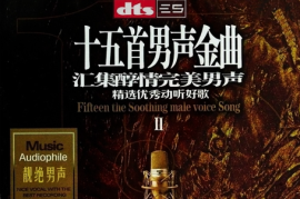 DTS-ES6.1 群星《十五首男声金曲Ⅱ》[WAV分轨/DTS/城通]