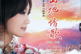 龚玥 张佳《山地情歌DSD 》