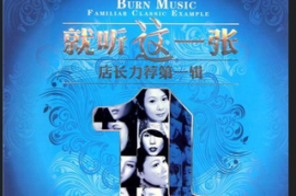 店长力推第一辑-(就听这一张)2CD [WAV分轨/DTS/城通]