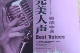 DTS 完美人声 唇情中音 2CD[WAV分轨/DTS/城通]
