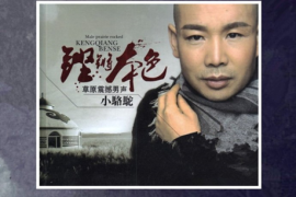 小骆驼《坚锵本色》6N纯银SQCD