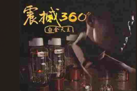 DTS《震撼360度白金天王》2CD[WAV分轨/DTS/城通]