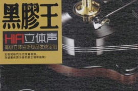 DTS-《黑胶王-HIFI立体声》2CD[WAV分轨/DTS/城通]