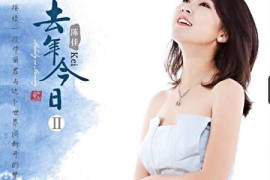 陈佳《去年今日II》无比传真