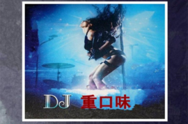 试音中英文 群星《DJ重口味6N纯银SQCD》