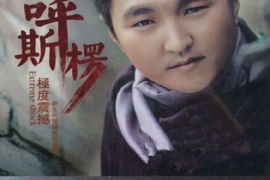 呼斯楞《极度震感6N纯银SQCD》