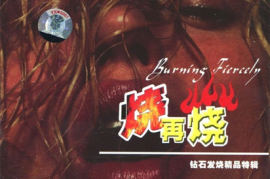 发烧精品特辑《烧再烧》 [WAV分轨/DTS/城通]