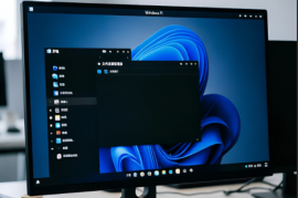 Windows 11 24H2 简体中文专业版 x64 系统镜像