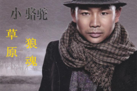 小骆驼 《草原狼魂》6N纯银SQCD