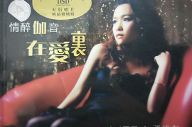 张玮伽《情醉伽音·在爱里 DSD》[WAV分轨/城通]