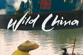 《美丽中国 WildChina》[自然纪录片]