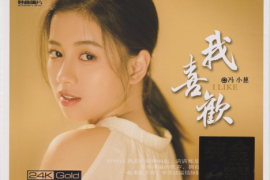 冯小慈《我喜欢 [头版限量编号 24K纯金碟]》[WAV+CUE/城通]