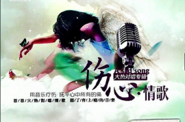 DTS-ES6.1 首首火热对唱情歌《伤心情歌·大热对唱》[WAV分轨/DTS/城通]