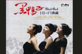 DTS和音组合《黑鸭子-声难忘》2CD[WAV+CUE/DTS/城通]