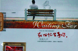 DTS 发烧人声 在回忆里等你 2CD