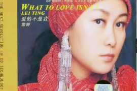 雷婷 2007《爱的不是我》靓声