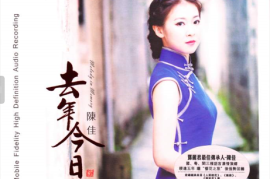 陈佳《去年今日》无比传真