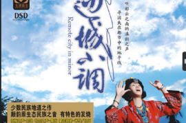 DTS-边城小调[WAV分轨/DTS/城通]