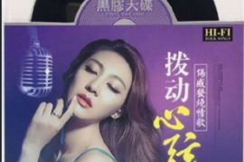 DTS-拨动心弦 2CD[WAV分轨/DTS/城通]