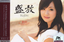 龚玥《盛放(紫银合金AQCD)》[WAV+CUE/1411 kbps/城通]