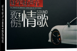 2017车载发烧人声精选《致伤情歌》2CD[WAV分轨/DTS/城通]
