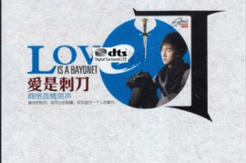 《爱是刺刀·网络悲情男声》[WAV分轨/DTS/城通]