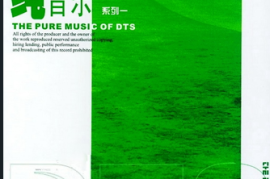 《纯音乐系列》8CD[WAV分轨/DTS/城通]