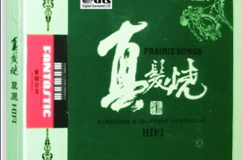 动感优美动人的完美旋律-群星《真发烧·草原HIFI2CD》[WAV分轨/DTS/城通]