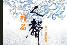 DTS-精品人声·极品发烧靓声 2CD[WAV分轨/DTS/城通]