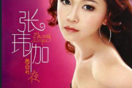张玮伽 《演员》 2CD[WAV分轨/DTS/城通]