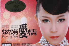 张玮伽 2013《燃烧爱情》[WAV分轨/城通]
