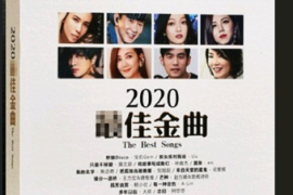 群星《2020最佳金曲[黑胶碟2CD]》[WAV+CUE/1411 kbps/城通]