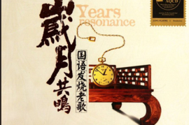 岁月共鸣·国语老歌 2CD[WAV/分轨/DTS/城通]