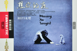 张玮伽《HIFI女声-想你的夜》2CD